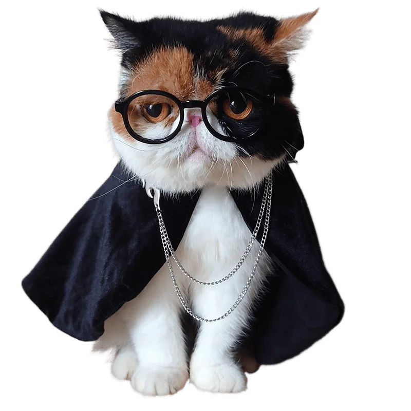 

Костюм кота тёмный принц, Тэдди, Девон, Рекс, конис