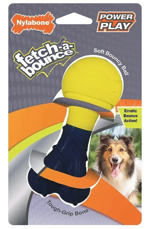 

Nylabone Power Play Fetch-a-Bounce Rubber 5" Dog Toy 1 count