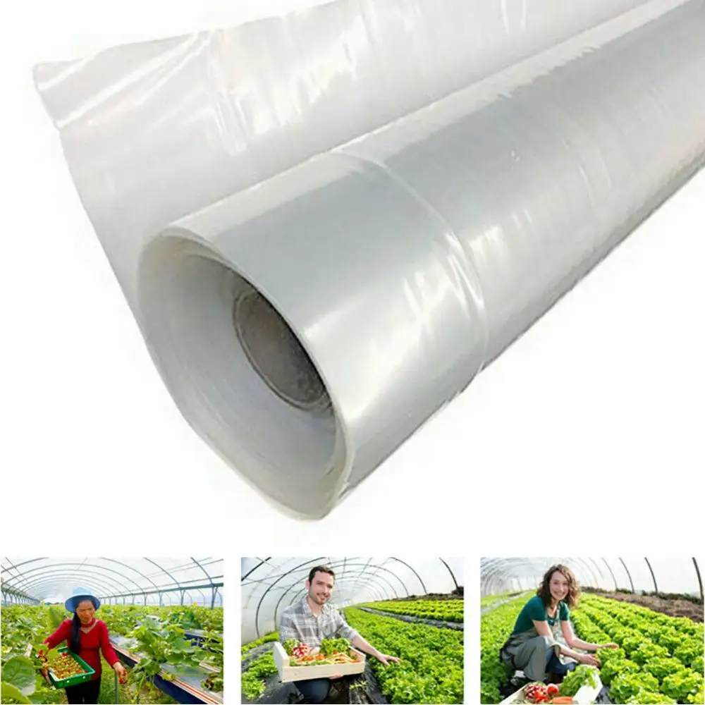 

Plastic Transparent Green 15m Vegetable Greenhouse Agricultural Cultivation Cover Film