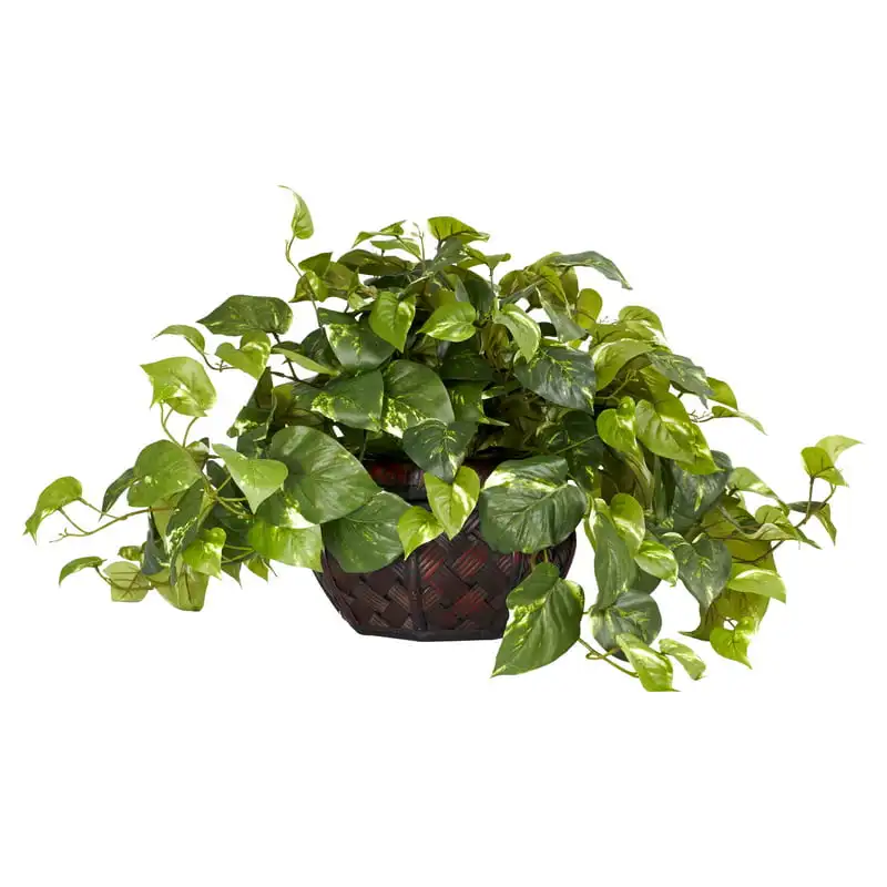 

Pothos with Decorative Vase Silk Plant -Same as 6635 Planter pot for indoor plants Bonsai pots Planting mat Seedling lables plas