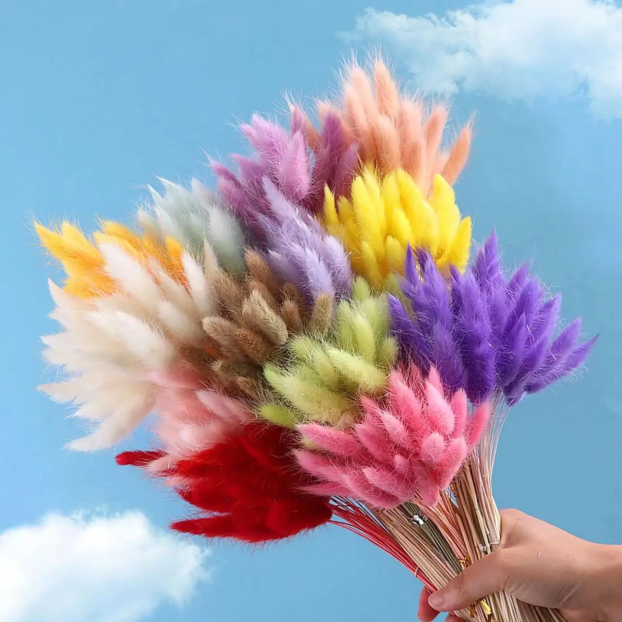 

60pcs Real Natural Floral Dried Flowers Bunny Rabbit Tail Grass Mixed Bouquet Colorful Lagurus Ovatus for Photo Props Decoration