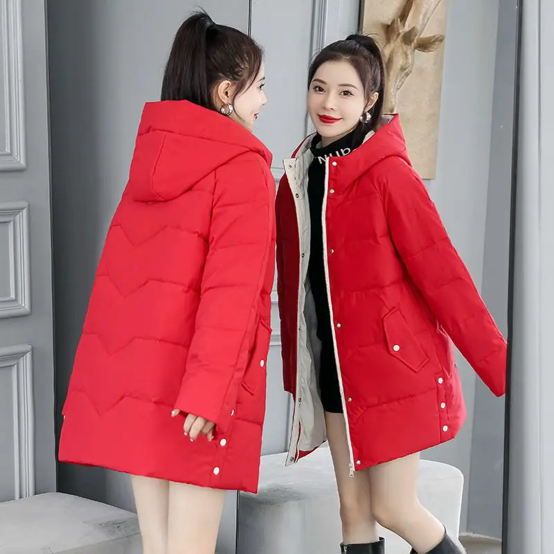 The New Korean Version of the Down Cotton Coat Autumn and Winter Coat for Women Slim Padded Coats Female & Lady Casual Jackets