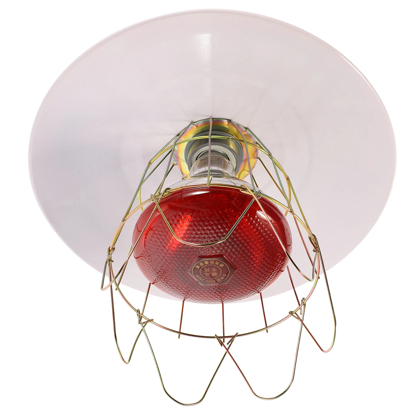 

250W Livestock Incubator Box Heating Lamp Little Pig Cage Pet Lizard Warmer Light Pet Warming Lamp 30x20x10cm Random Color