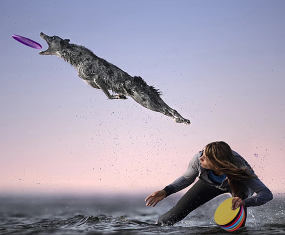 

Dog Flying Disc Puppy Flyer Toy React Faster Training Interactive Toys for Dog Lightweight Floating Saucer Pet Supplier