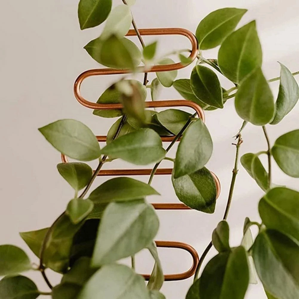 

Climbing Plant Frame Plant Lattice Anti-rust Multi-functional Metal Vine Growth Climbing Frame Garden Supplies