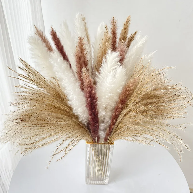 

10Pcs Natural Dried Flower Reed Pampas Grass Bouquet Boho Home Decor Wheat Stalk Wedding Tables Centerpieces Decoration Props