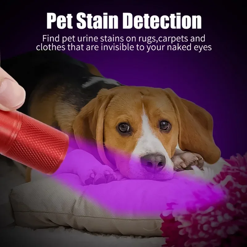 Рисунок 2 - Ультрафиолетовый фонарик с 9 светодиодами