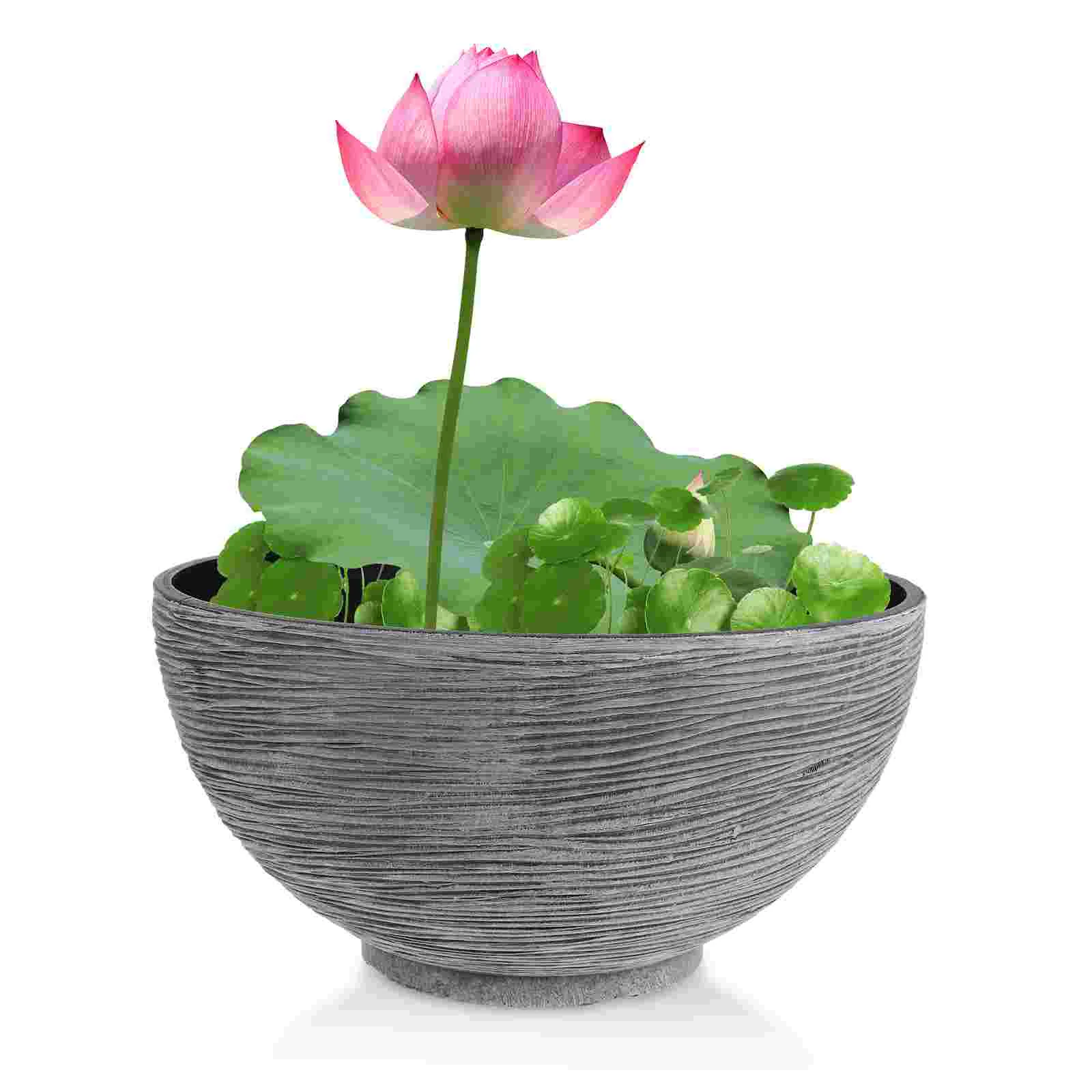 Имитация камня горшок с лилией нарцисс гидропонное растение декоративный