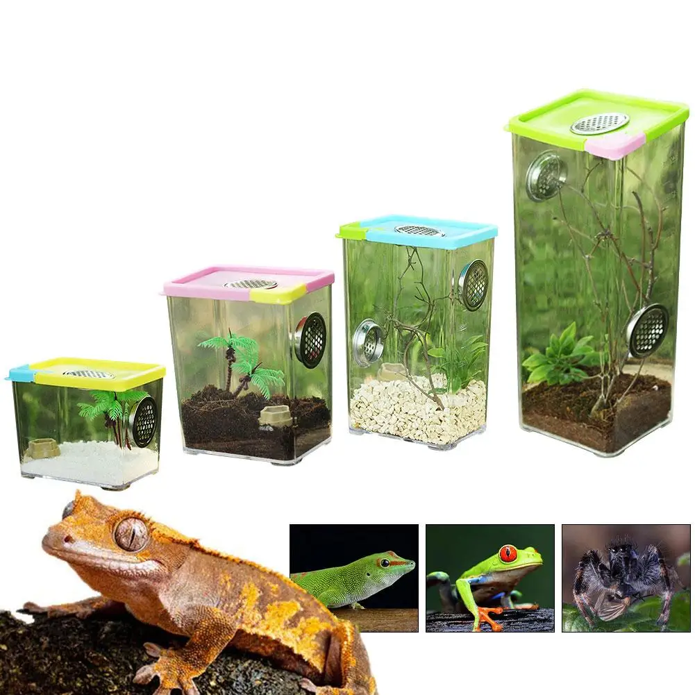 

Reptile Box For Spiders Tortoise Lizard Breeding Insect Box Vents Sliding Small Pet Terrarium Vivarium