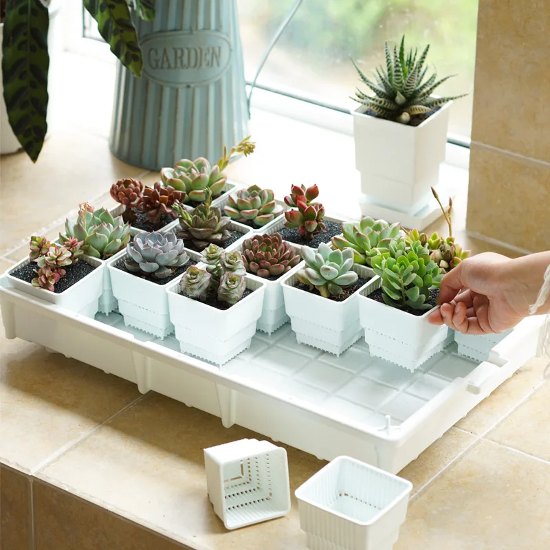 

Квадратный цветочный горшок для раковины, 6 см, 28 шт.