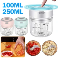mini electric garlic masher 100250ml fully automatic mincer ginger masher for kitchen food crusher chili vegetables usb