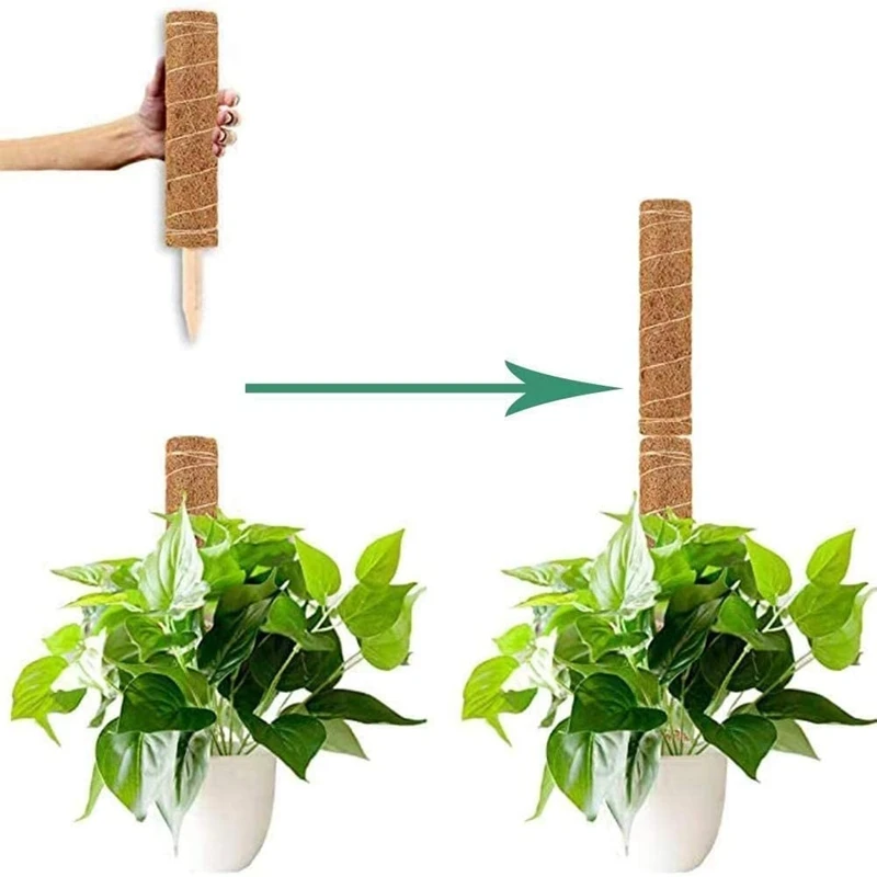 

Moss Poles For Climbing Plants With Wooden Plant Tags Stackable Moss Stick For Plants Climbing To Grow Upwards