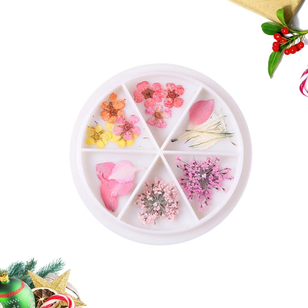 

Nail Dry Petals Manicure Charm Dried Flower Spring Floral Nails Decals Nail Stickers Decorations DIY Accessories Set(06)