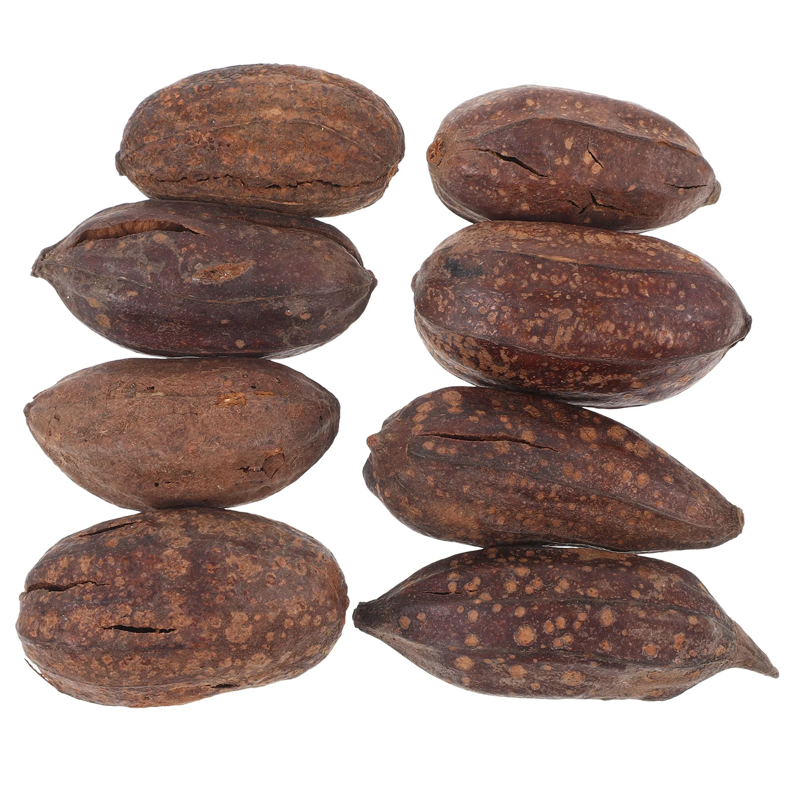 

8pcs Natural Dried Fruit Biting Foraging Bird Toy Foraging Shredding Toy for Birds