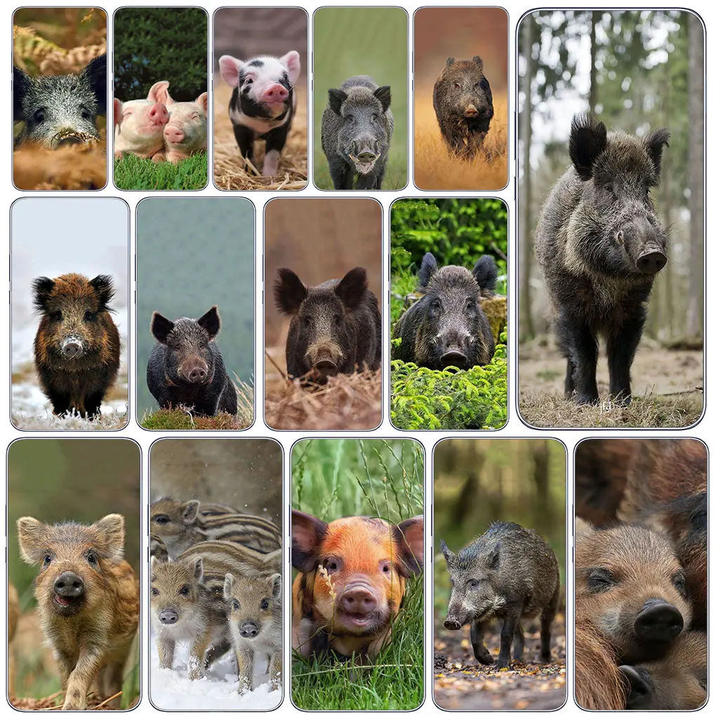 Чехол для телефона Motorola Moto One G8 G7 Play Action Fusion Plus Power vision Zoom Hyper Macro