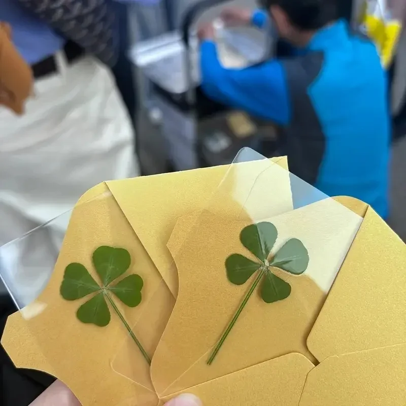 5 шт. открытки Lucky Clover из натуральной травы прозрачные желаний идеально подходят