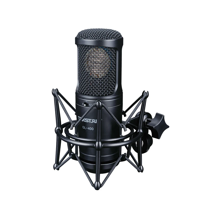 

Professional Recording Studio Condenser Microphone,Desktop Live Broadcast Microphone,Karaoke Computer Condenser Microphone