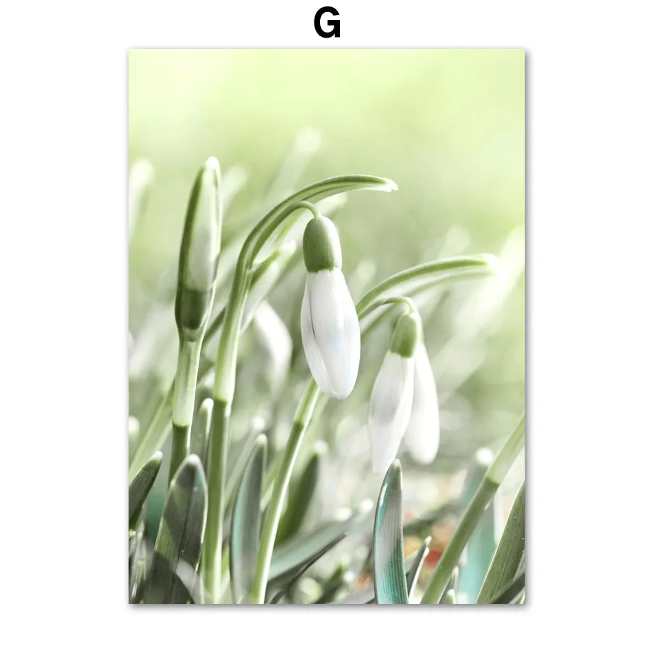 

Плакат на холсте "Весенний зеленый пейзаж"