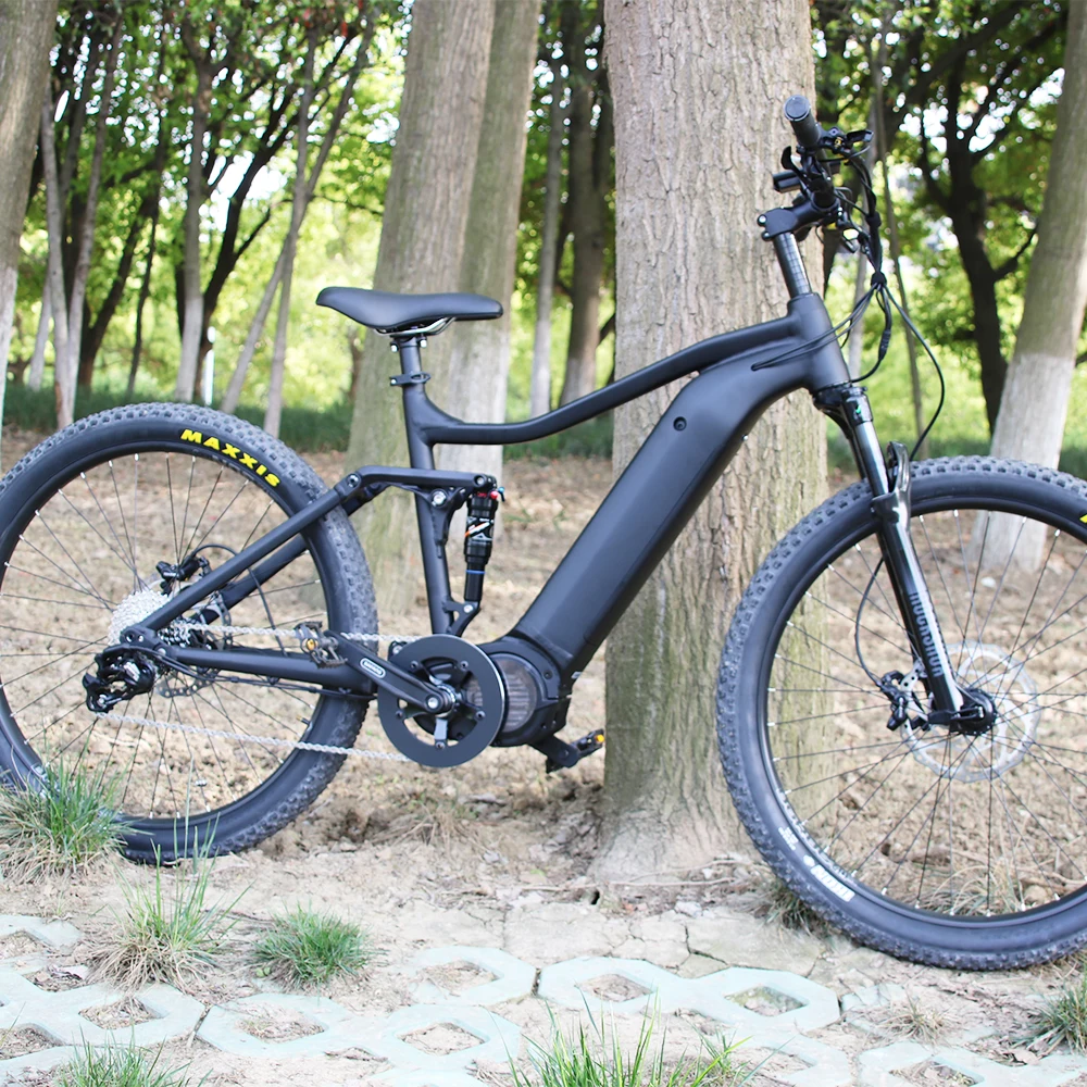 

48V 1000W DUAL BATTERY ELECTRIC BIKE BAFANG M600 MOTOR E BICYCLE
