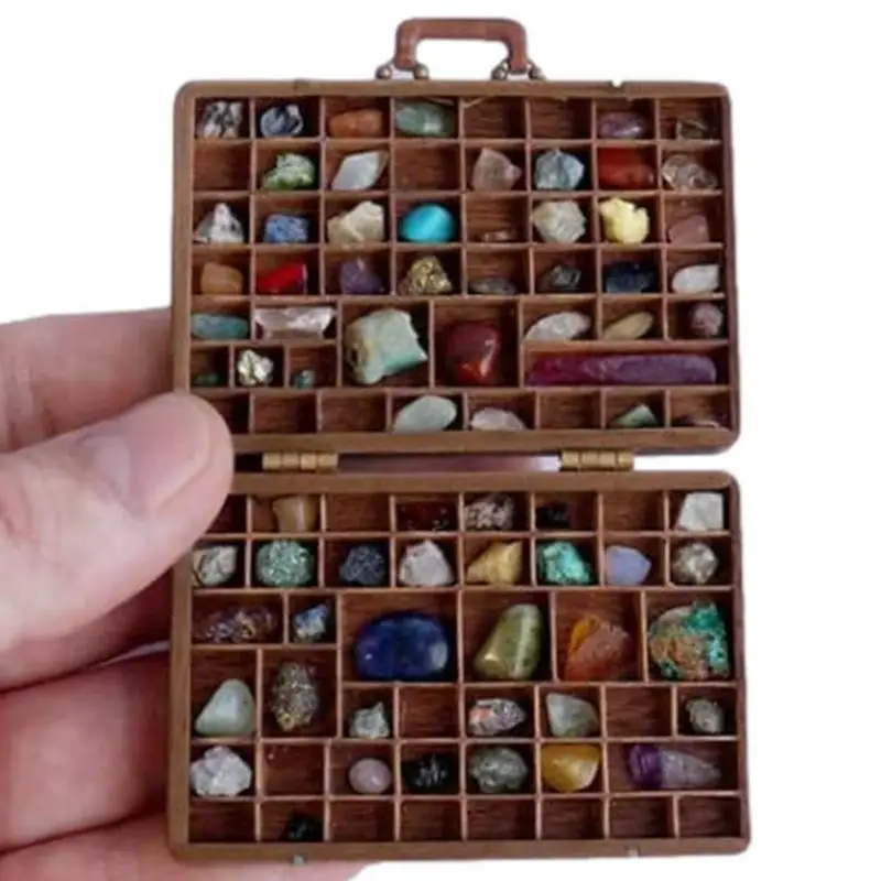 

Rock Collection Box For Kids Rock & Mineral Collection Activity Kit Bulk Rocks Gemstones & Crystals Genuine Fossils And Minerals