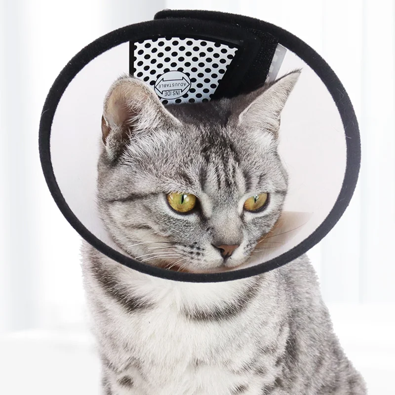

Pet Protective Cover Anti-bite Ring Cat Collar Pet Collar Single Color General Purpose Four Seasons Anti-bite Dog Grooming Cover