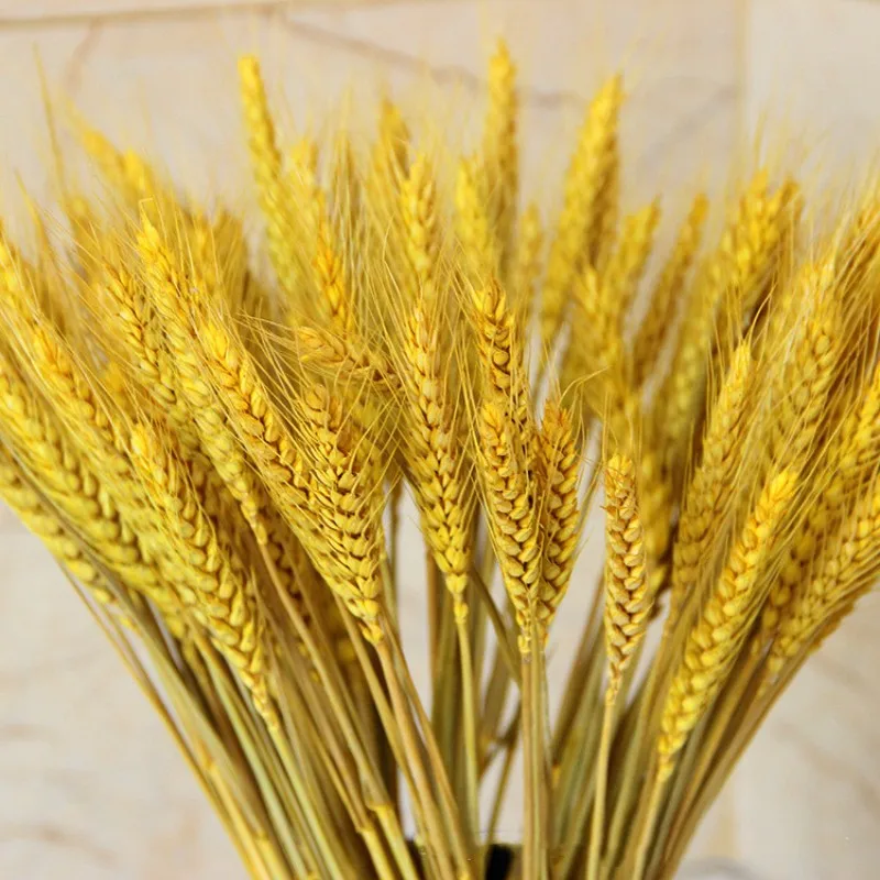 

50PCS Wheat Natural Dried Flowers Centerpieces For Weddings Dried Natural Flowers Mother's Day Easter Decorati Bridal Wedding Bo