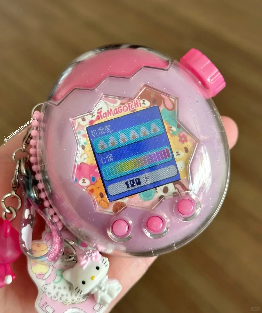 Защитный чехол Tamagotchi Paradise DIY для всей серии (art.: 3920d4f855af4) - 3920d4f855af4