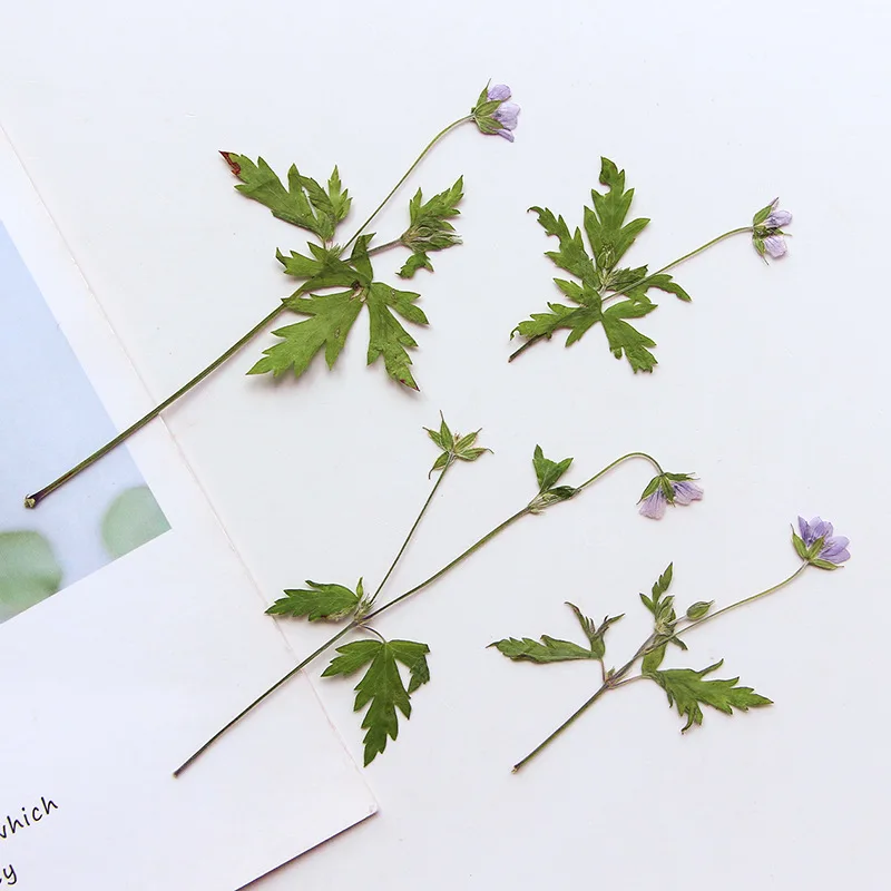 120 шт. искусственная Герань для dii стебель цветок гербарий смола карта закладки
