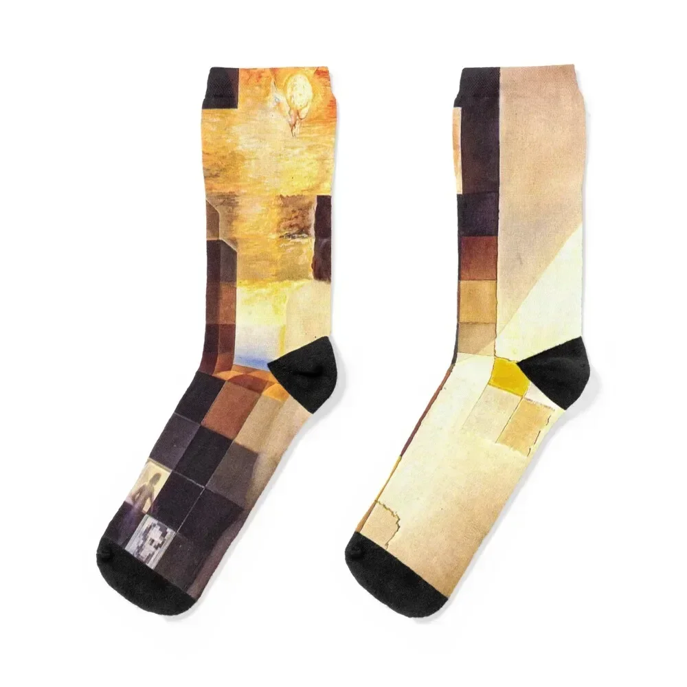 Lincoln in Dalivision by Salvador Dalí Носки противоскользящие комплект для девочек Мужские