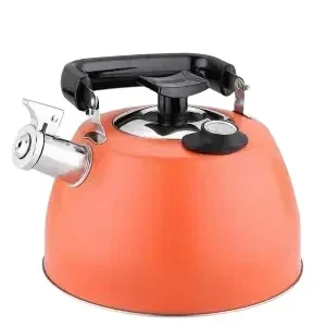 

Чайник из нержавеющей стали со свистком и датчиком температуры 2.5/3.5 л