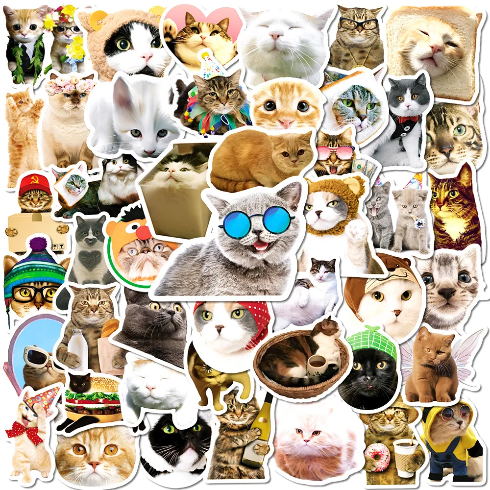 

10/30/50PCS Cute Cat Meme Funny Stickers DIY Skateboard Guitar Suitcase Freezer Motorcycle Classic Toy Animal Decals Sticker Toy