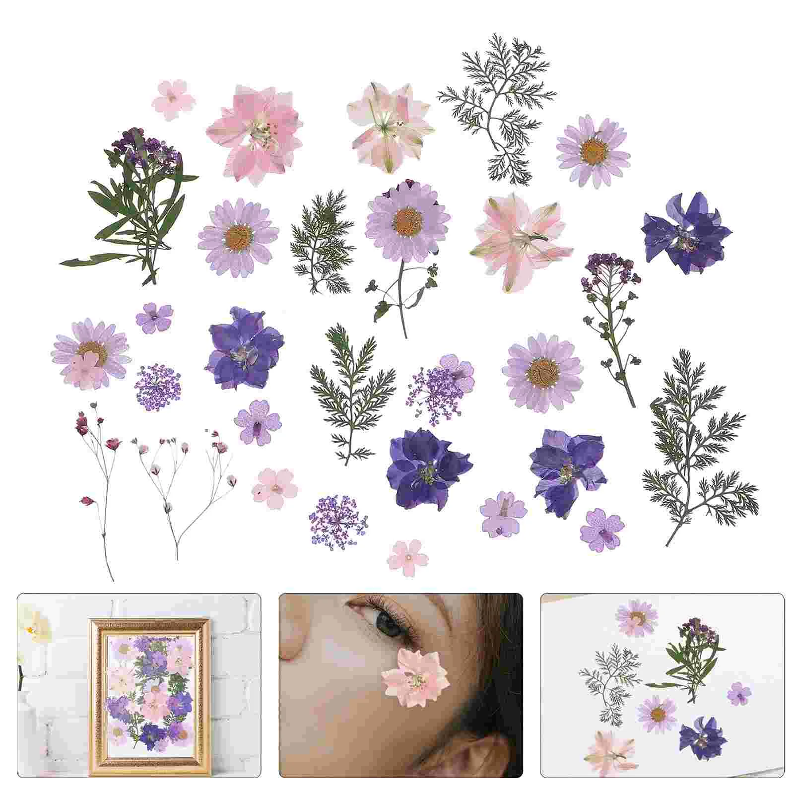 

Flowers Driedresin Pressed Flowerscrapbooking Dry Leaves Diy Daisies Natural Hydrangeas Petal Real Nail Sheet Multipleleafs