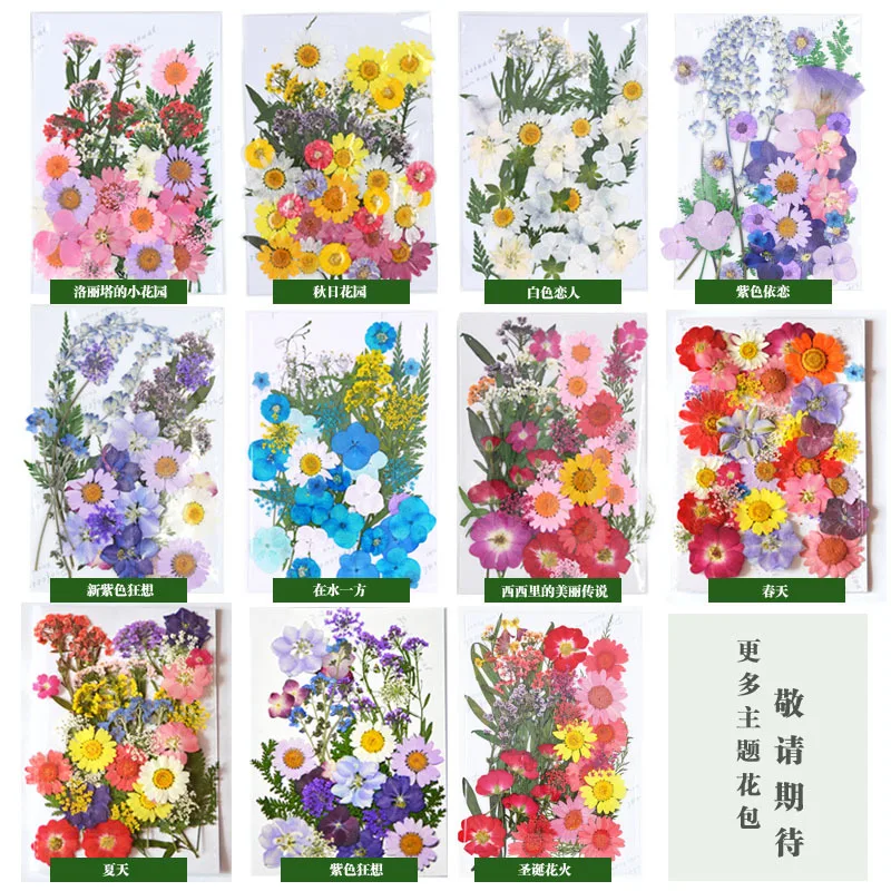 

Dried flower embossing DIY escort material package photo petal bookmark real flower drop gum dried leaf plant specimen