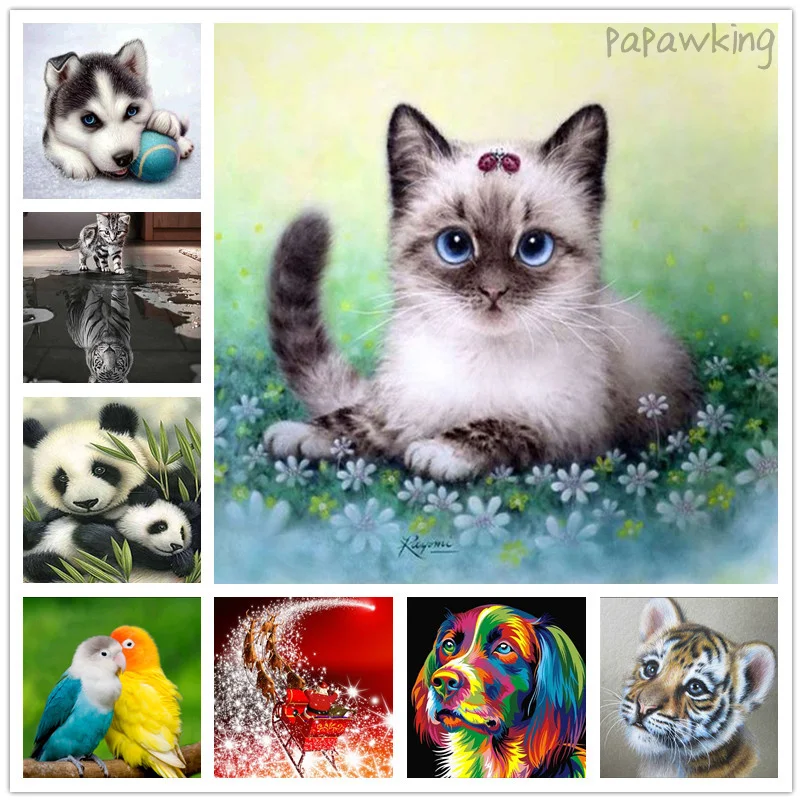 

Diamond Painting Diy Full Square Diamond Cute Cat Dog Animals Art Rhinestone Cross Stitch Kit Mosaic Home Wall Embroidery Poster