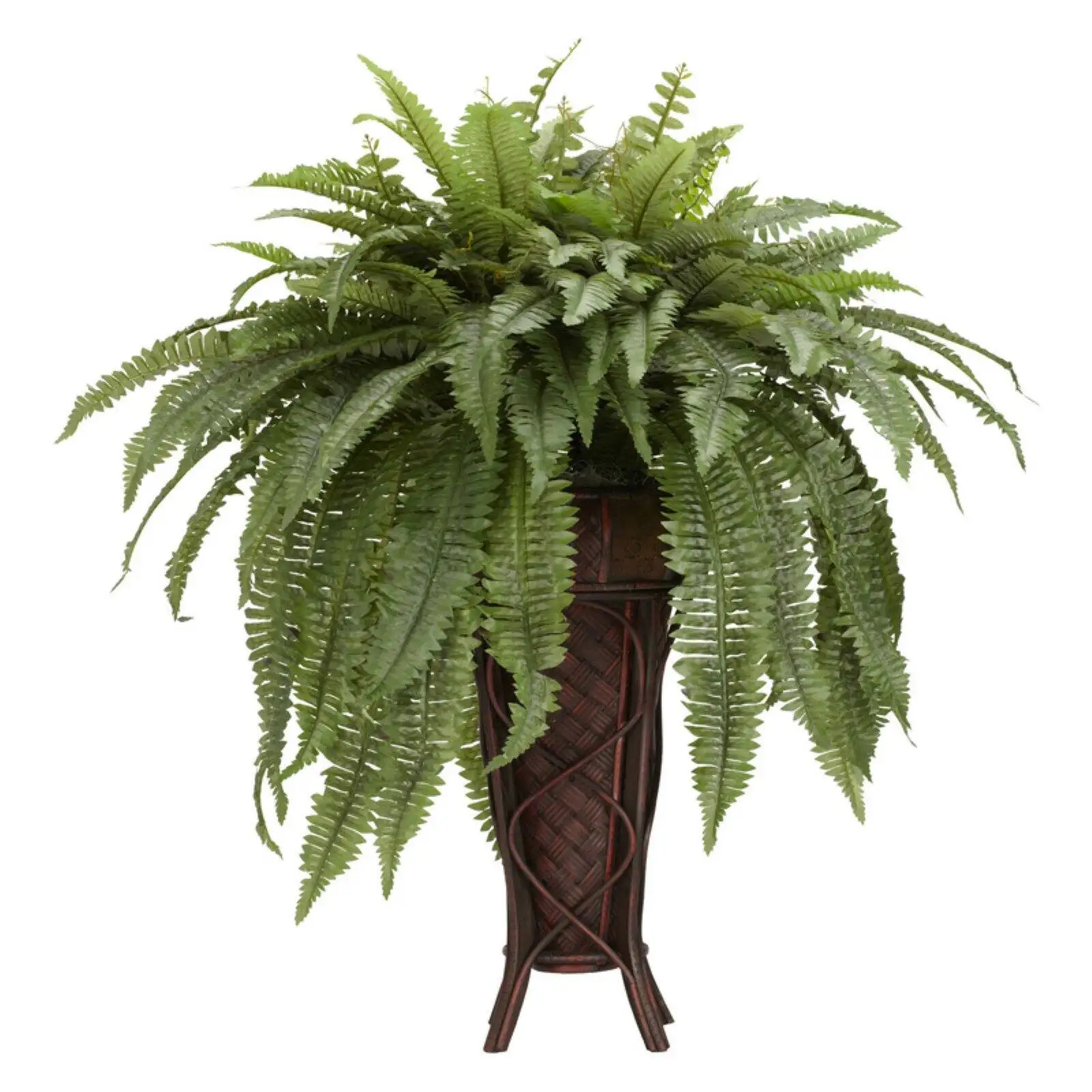 

Boston Fern with Stand Silk Plant