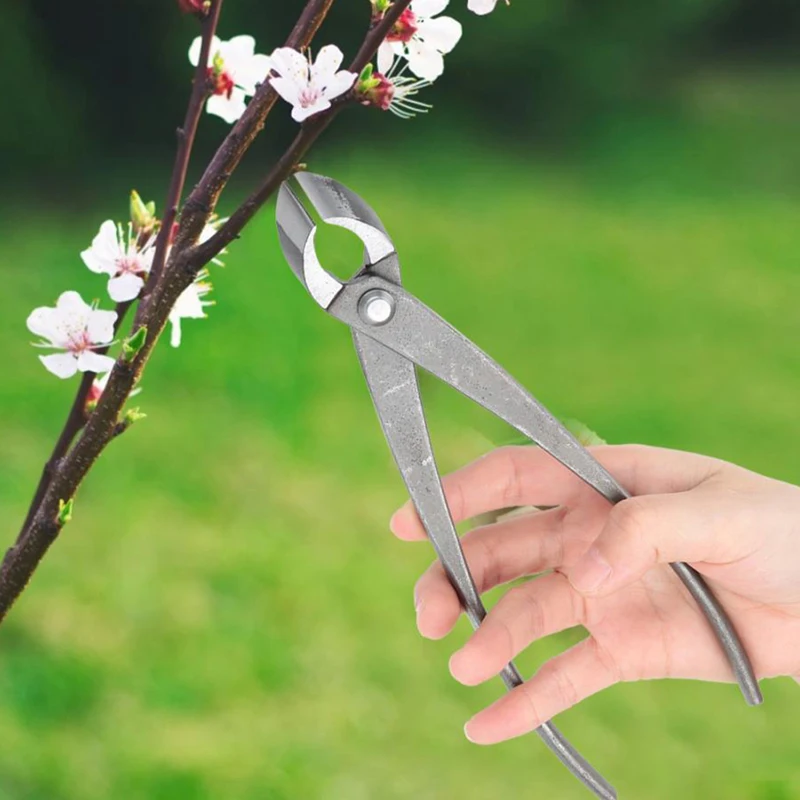 

210mm 8 inch Garden Branch Cutter Forged Steel Round Edge Beginner Scissors