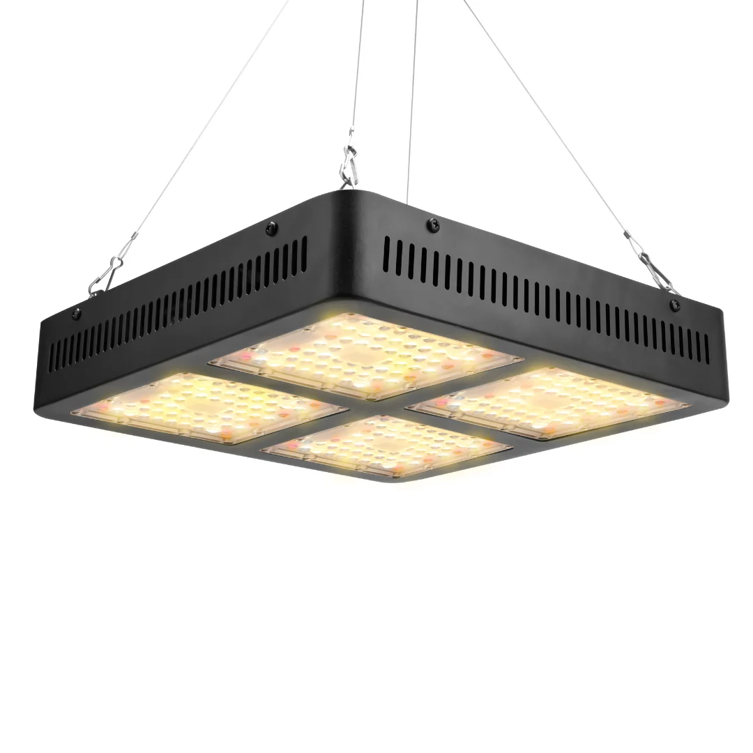 

2000W Plant Lamp 3000K 5000K White 660nm Red Full Spectrum LED Grow Light for Hydroponics Greenhouse