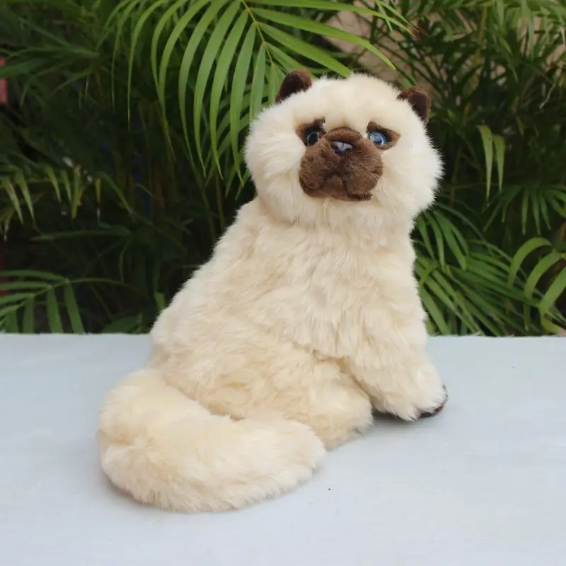 

lovely plush Siamese cat toy high quality persian cat doll birthday gift about 25cm