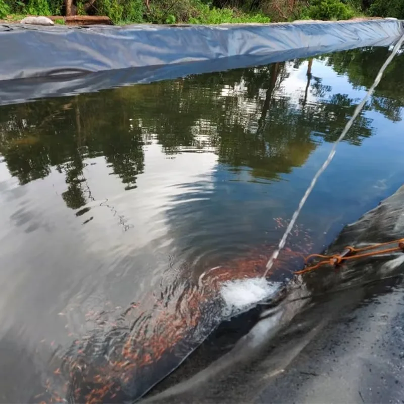 Фото 【2026】Геомембрана из HDPE шириной 6м и 8м для прудов и водоемов, современная, экологически чистая, для рыбоводства, аквакультуры и водоудержания №4