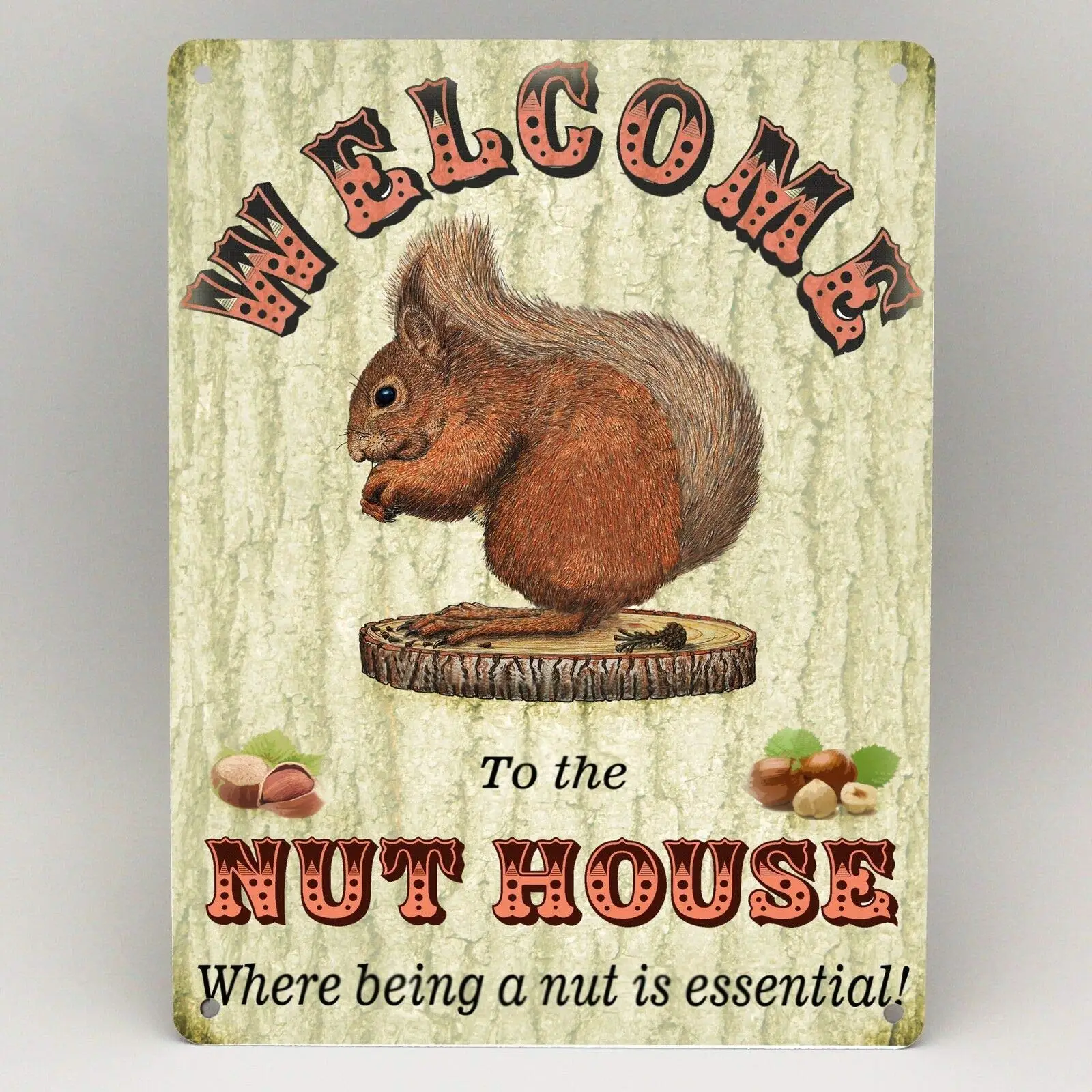 Добро пожаловать в The Nut House Squirrel. Ретро-уличная табличка. Металлическая табличка для дома, бара, кафе, автомобиля, мотоцикла, гаража. Декор. (art.: 3920dd41e47ca) - 3920dd41e47ca