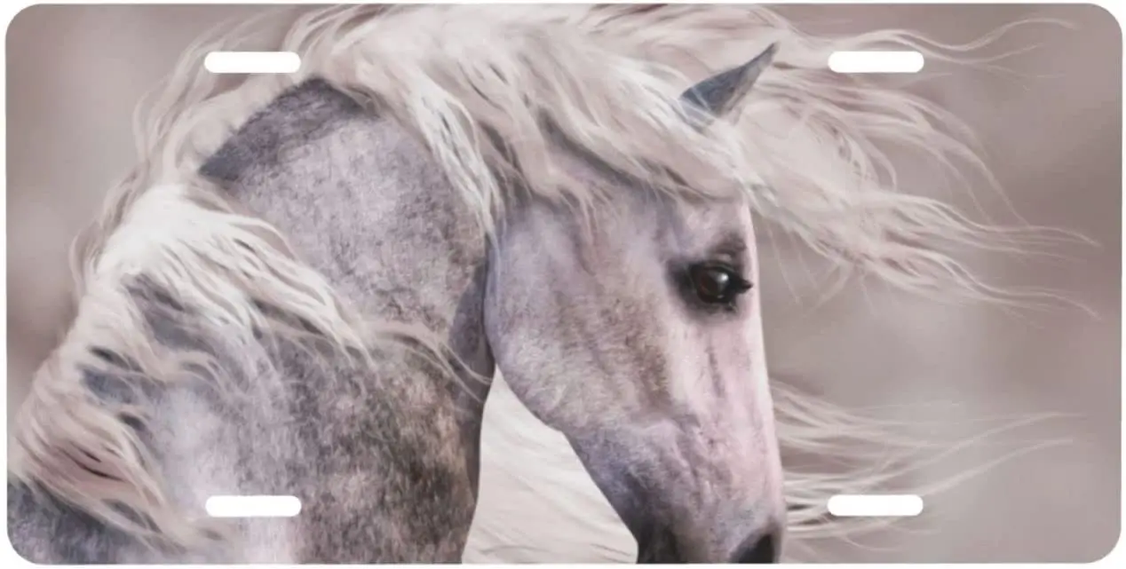 

Personalized License Plate,Beautiful White Horse Aluminum License Plate for Car Easy Mounting Indoor/Outdoor 6 X 12 Inch
