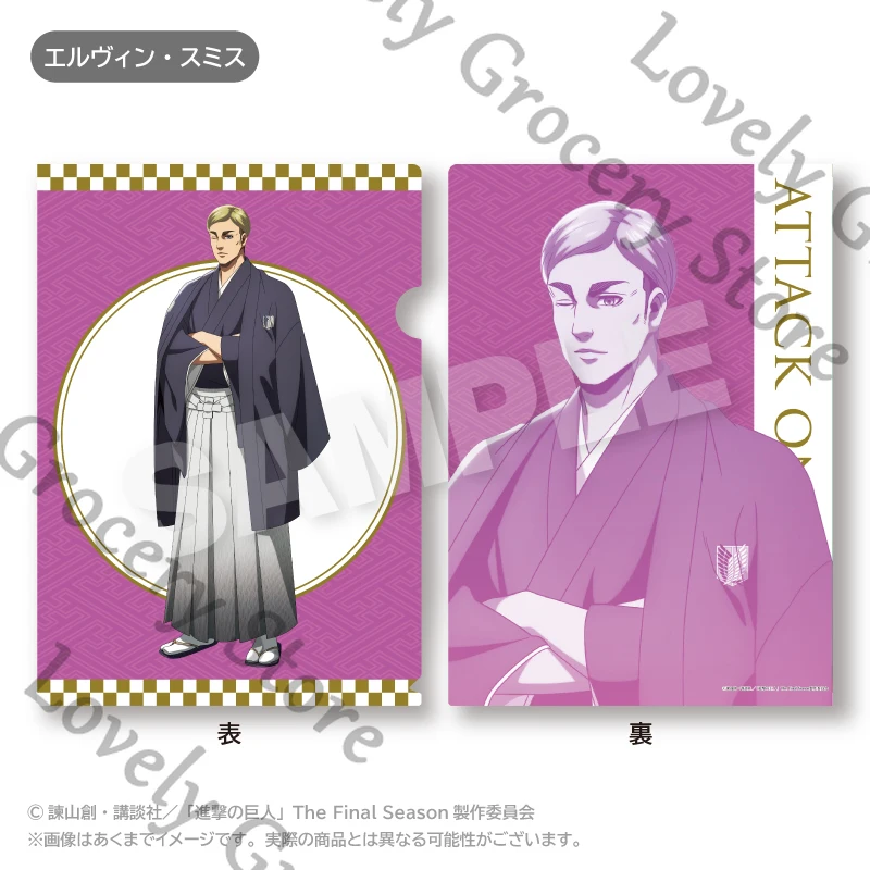 

Прозрачная папка для документов Attack on Titan