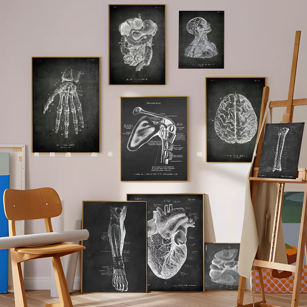 Анатомический скелет классная доска рисунок сделай сам липкий постер белая