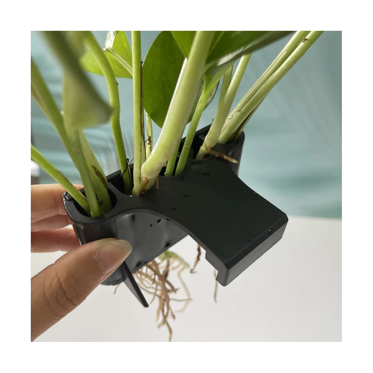 

2PCS Open Face Emerging Plant Holder, Aquarium Hanging Aquatic Plant Holder Fish Tank Decorations for Emersed Plants, B