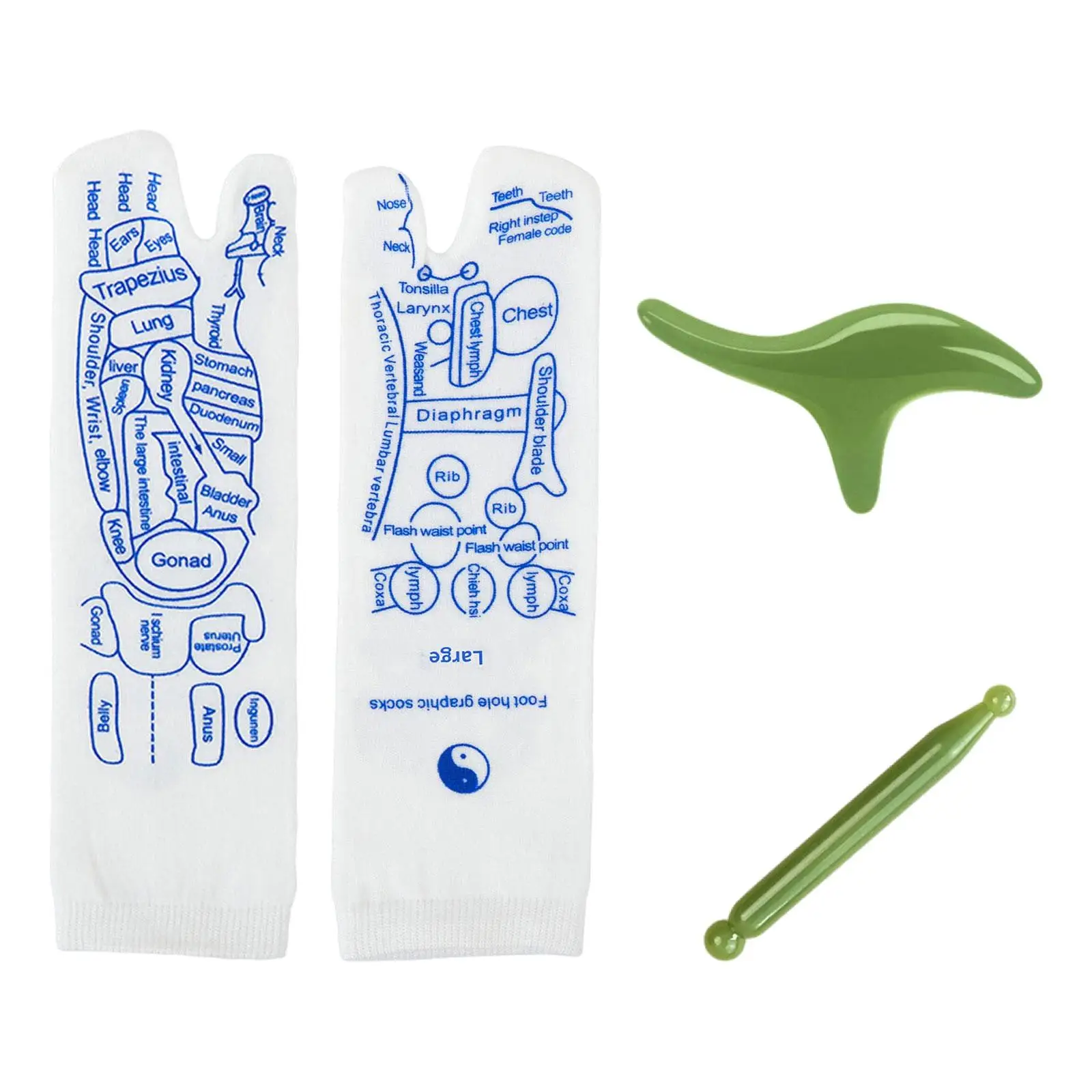 Рефлексотерапевтическая область отражения носков с точечной ручкой и