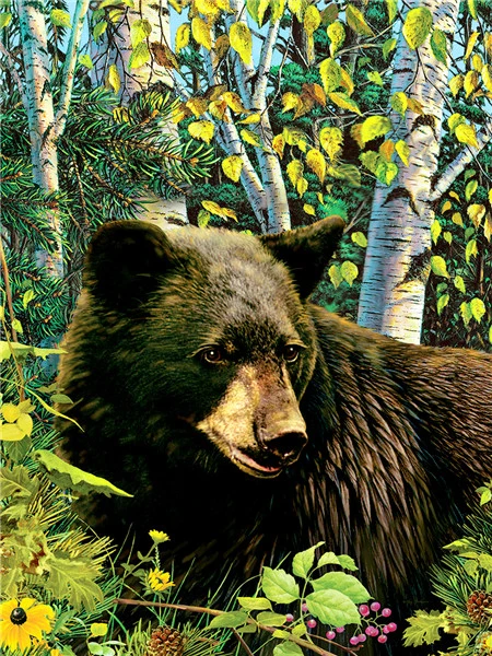 Картина по номерам медведь животные картины номеру Лесной фотоальбом рисунок на