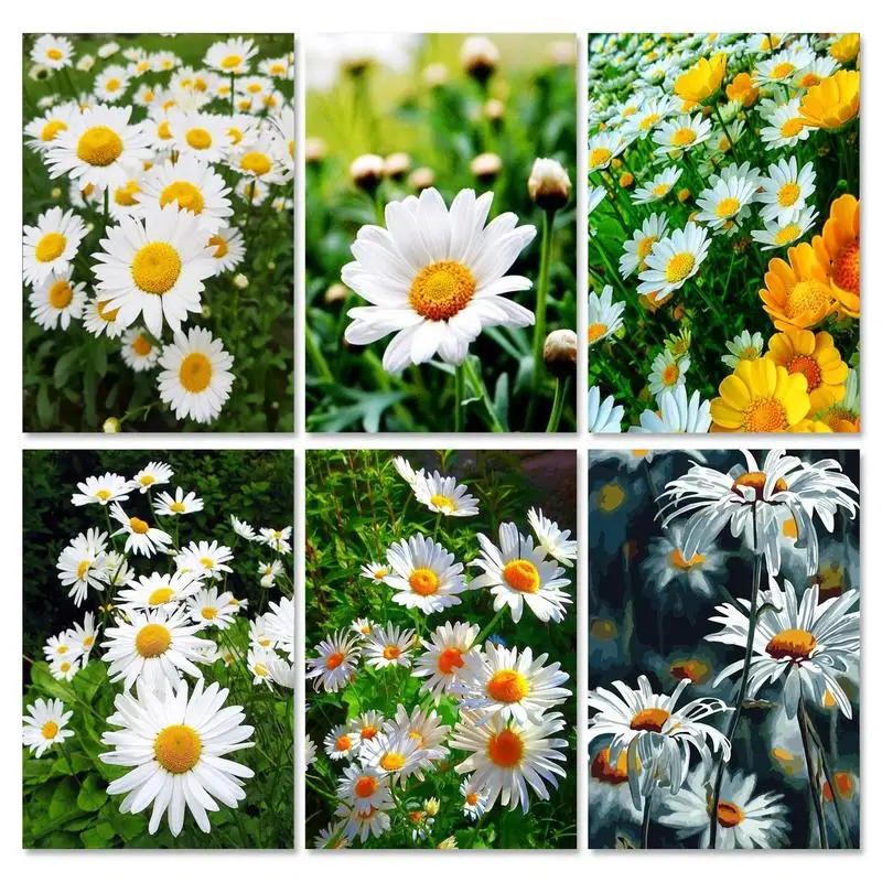 

5D DIY Diamond Painting Flowers Daisy Scenery Embroidery Mosaic Crafts Picture Full Drill Cross Stitch Art Kit Living Room Decor