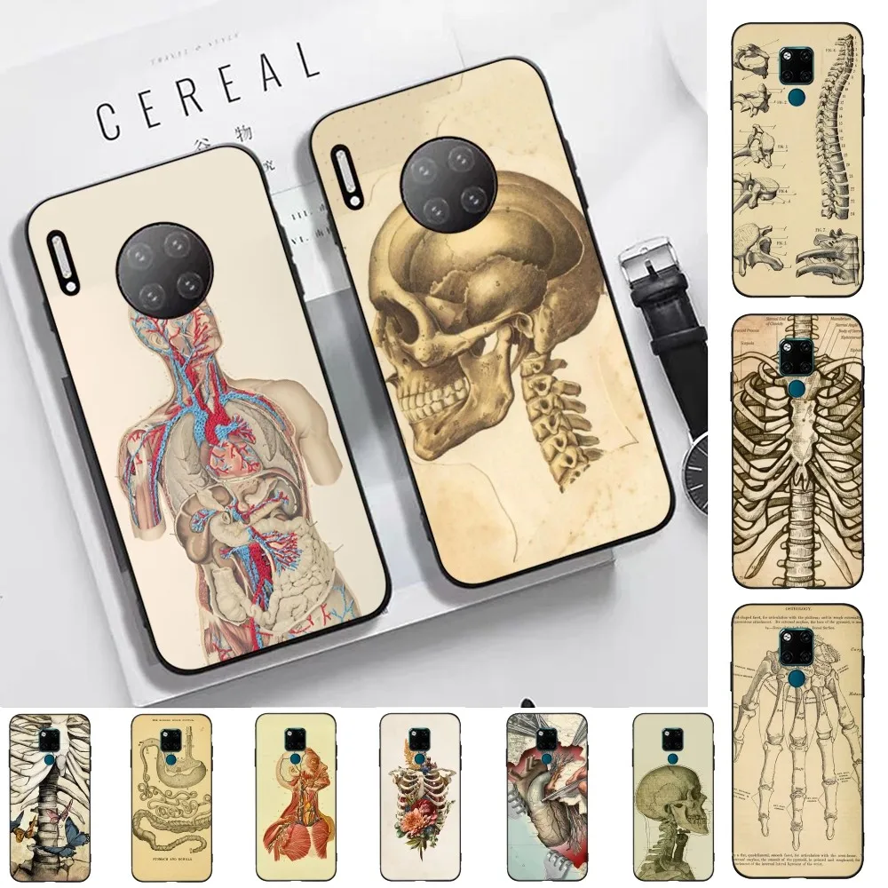 

Medical Human Anatomy Phone Case For Huawei Mate 10 20 30 40 50 Lite Pro Nova 3 3i 5 6 SE 7 Pro 7SE