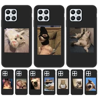 funny dog case for honor x8 case soft funda huawei nova 8i 5t honor 50 pro 10 lite 9 10x lite 9x 9a 8x max 10i 20 play 8a cover