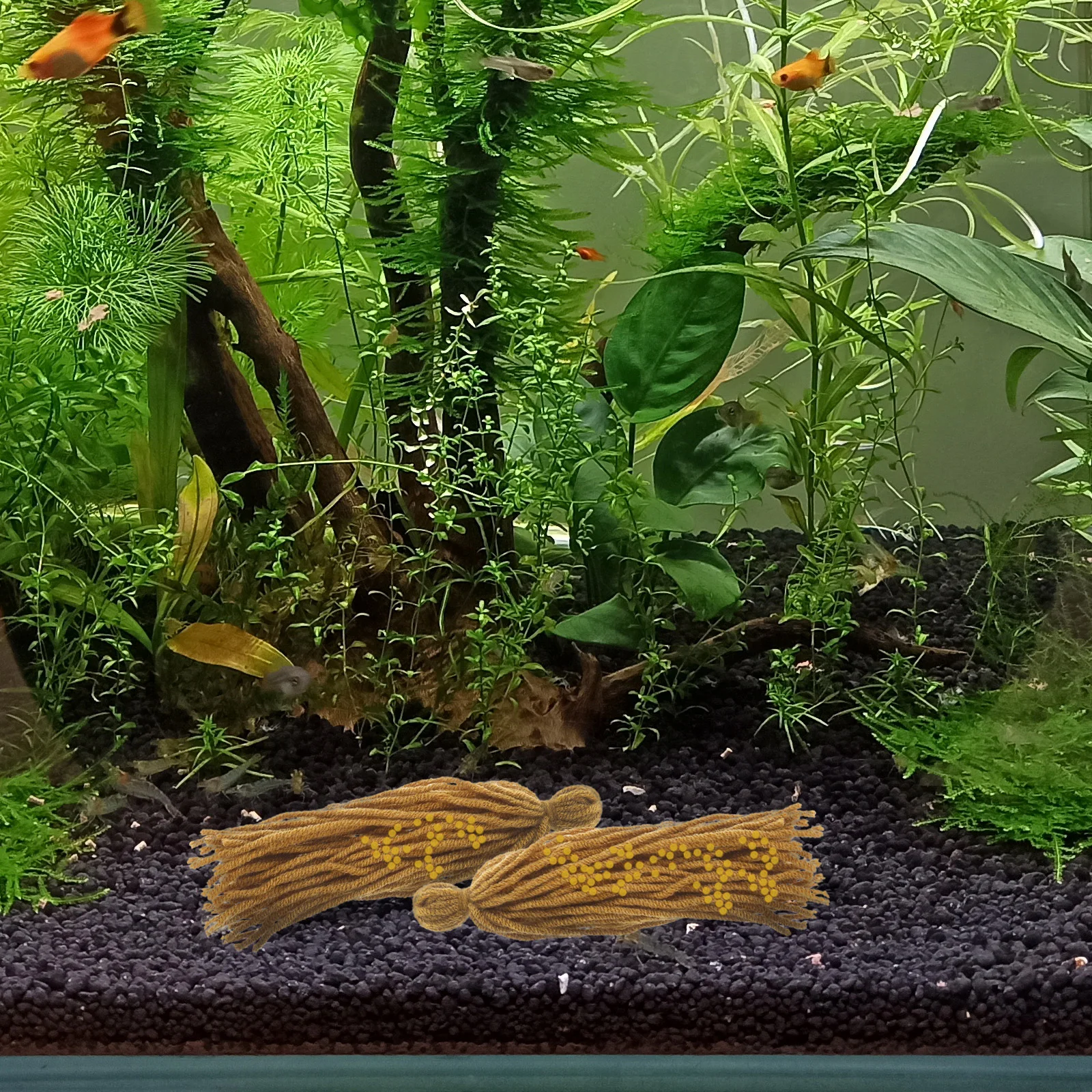 5 шт. швабра для аквариума разведения аквариумная трава пряжи креветок малышей